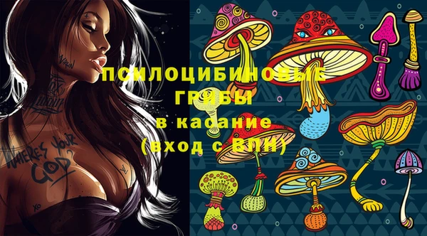 индика Нефтекумск