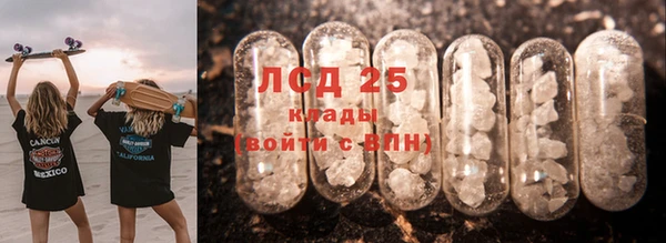 индика Нефтекумск