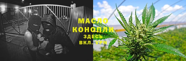 индика Нефтекумск