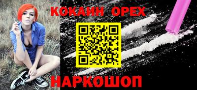 спиды Кингисепп