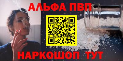 спиды Кингисепп