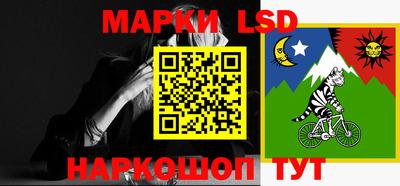 спиды Кингисепп