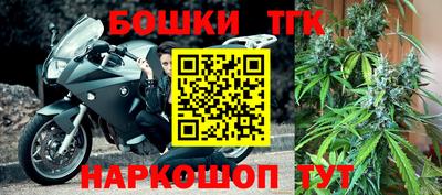 спиды Кингисепп