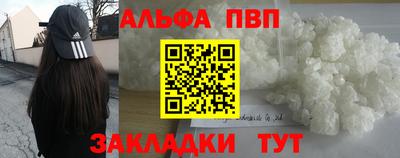 спиды Кингисепп