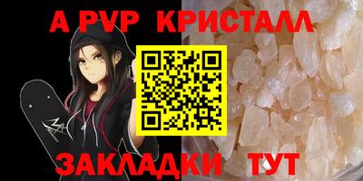 спиды Кингисепп