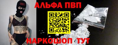 спиды Кингисепп