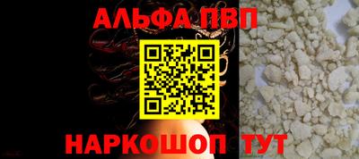 спиды Кингисепп