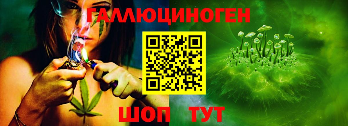 Галлюциногенные грибы мицелий  Вход с VPN  Сибай  Галлюциногенные грибы Psilocybe 